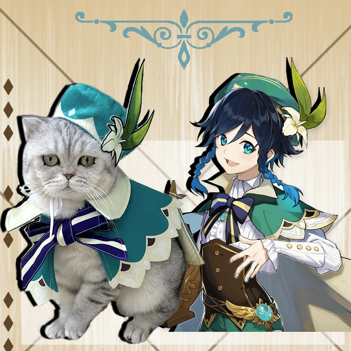 Genshin Venti Cos For Pets (clothes+hat)